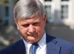 Чем Петербургский форум огорчил воронежского губернатора Гусева