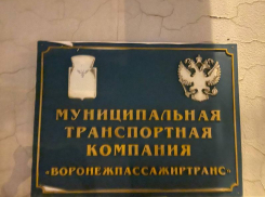 Муниципальный перевозчик заплатит 400 тыс выпавшей из автобуса женщине в Воронеже