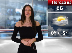 Антициклон из Европы принесет новую волну тепла на выходных в Воронеже