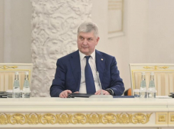 Стало известно, на что Воронежская область потратит почти 1 млрд рублей