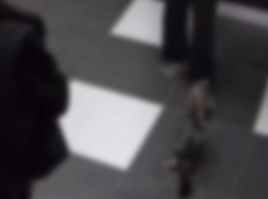 Фекальное «преступление» попало на видео в воронежском подъезде