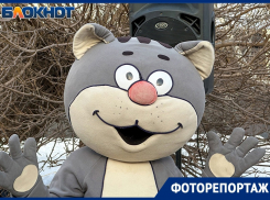День рождения одного из самых известных кошачьих памятников отметили в Воронеже