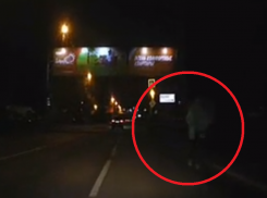 Пешеход-фантом испугал водителя и попал на видео в Воронеже