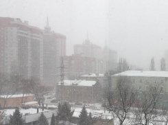Аномально-весенний снегопад накрыл Воронеж