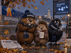 Сентябрь берет свое: в регион идет похолодание до +4