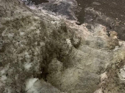 В забытом всеми сугробе вырубили ступеньки в Воронеже