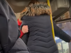 Пассажирка перекрыла собой дорогу после скандала в воронежской маршрутке