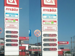 Досадную 17-дневную разницу цен на бензин показали в Воронеже