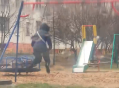 Катание на качелях под проливным дождем изумило воронежцев 