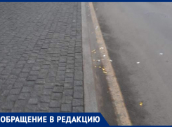  Обратную сторону ярких свадеб показали в центре Воронежа 