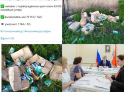 Коронавирус в Воронеже 18 мая: +12 смертей, хлебосольный Гусев и брошенные прививки