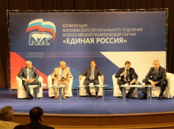 В «Единой России» Алексею Гордееву подберут соперников