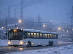 Долгожданный маршрут №41 возвращается на улицы Воронежа