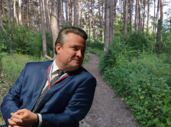 Обещанного от мэрии год ждут