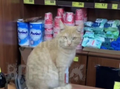 Милейший кассир в КБ покорил сердца воронежцев