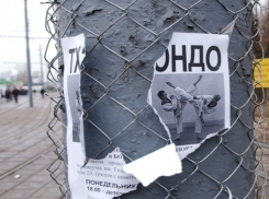 В Воронеже уличные фонари одели в сетку-рабицу