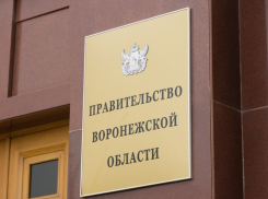 Новые посты получили Александр Попов и Ольга Извекова в Воронежском облправительстве