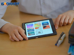 О недетской рекламе на сайте «Дневник.ру» сообщили родители воронежских школьников