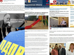«ЕдРо» хвалится детскими площадками, а КПРФ снова скорбит: чем за неделю отличились партии в Воронеже