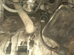 О потрошителях машин предупредили жителей Воронежа