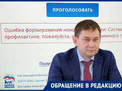 С казуса началось предварительное голосование «Единой России» в Воронеже