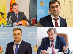 Большой договорной матч парламентских партий на выборах в Воронеже