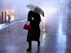  В выходные в Воронеже будет дождь и +3°С.