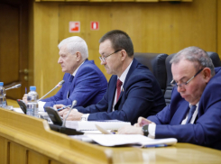 Два новых почетных знака планируют ввести для депутатов в Воронежской области