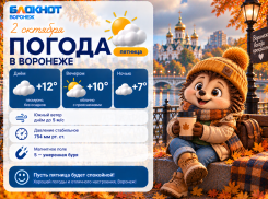 Воронежцев предупредили о неспокойном магнитном фоне и похолодании