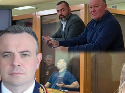 Кирилл Левит представил политику как свой терновый куст на примере дел Жогова и Бавыкина