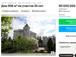 Поместье-замок за 90 млн рублей продают под Воронежем