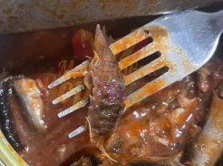 Странное существо обнаружил в своей еде житель Воронежа