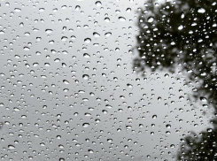 Дождь и 6 °C ожидают воронежцев на выходных 