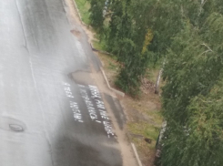 Любовные страсти разыгрались в Воронеже на мокром асфальте 