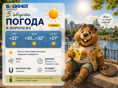 Жара до +34 добралась до Воронежа: прогноз погоды