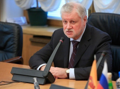 Сергей Миронов предложил воронежским чиновникам уменьшить себе зарплаты 