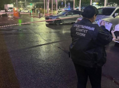 Мигрантов, обвиняемых в убийстве уроженца Средней Азии у «ГЧ», оставили за решеткой 