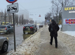 Вопрос о горькой судьбе пешеходов поставила жительница Воронежа 