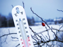 Синоптики рассказали, каким будет конец зимы в Воронеже