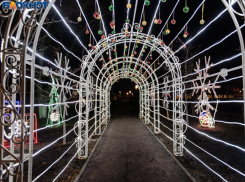 Мужчины остаются дома, а женщины рвутся в поездку – как воронежцы проведут новогодние каникулы