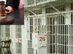 В Воронежской области за решётку отправятся два инвалида и подросток