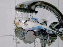 График отключения горячей воды на июль