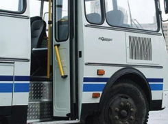 Водитель «Пазика», из дверей которого на асфальт выпал ребенок, лишен премии