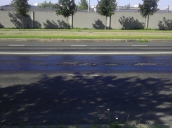 В Воронежскую область на грузовике не заедешь