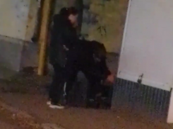 Странная парочка возненавидела урну на улице в Воронеже – опубликовано видео