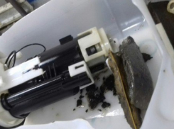 Воронежцев предупредили об АЗС на М4, которая убивает автомобиль