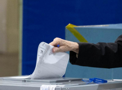 Названы районы Воронежской области с самой низкой явкой на выборах президента