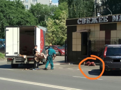 Неаппетитная транспортировка сырого мяса попала на фото в Воронеже