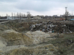 Незаконную свалку на улице Землячки воронежцы назвали местным Ядрово