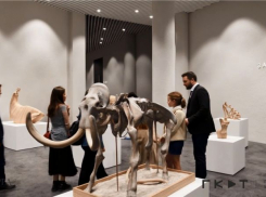 Проект реконструкции музея-заповедника «Костенки» под Воронежем прошел госэкспертизу